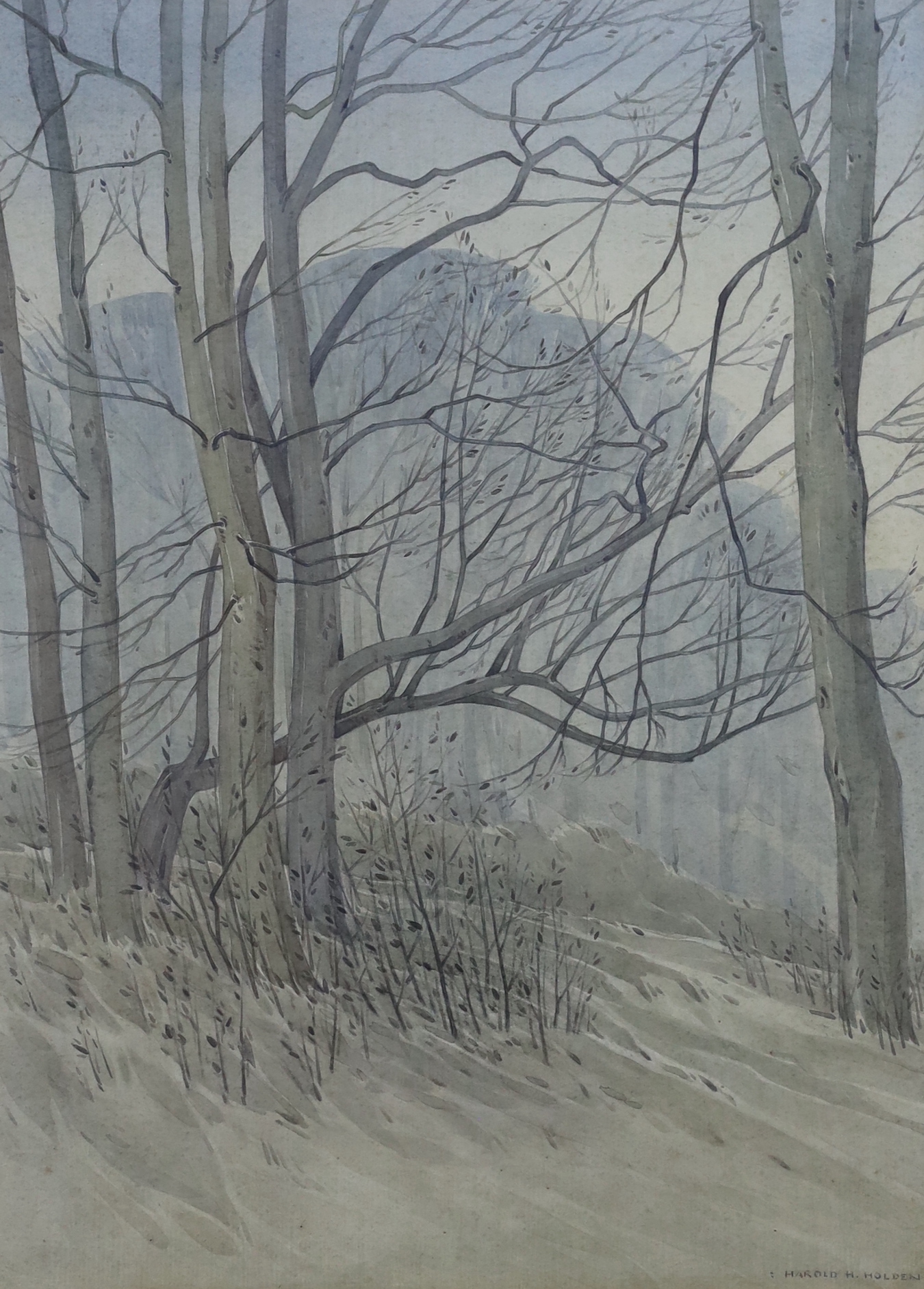 Harold H. Holden (1885–1977) watercolour, Woodland landscape, signed, 40 x 29cm